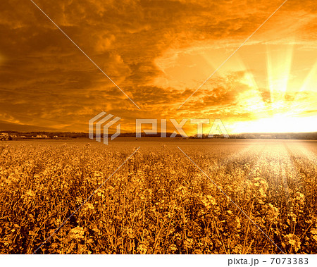 Rural landscape and shining sun 7073383