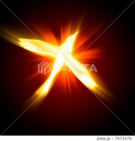 silhouette of a bird against dark background silhouette of a bird against dark background 7073479