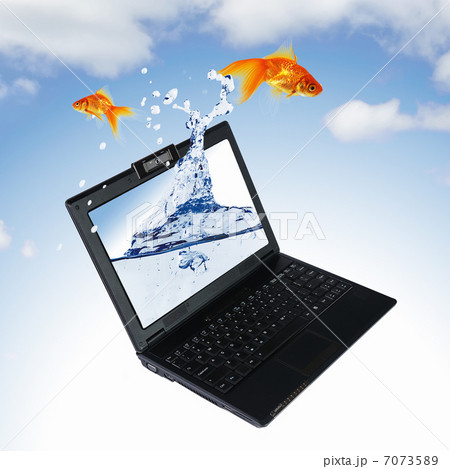 gold fish on notebook screen 7073589