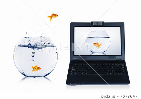 gold fish on notebook screen gold fish on notebook screen 7073647