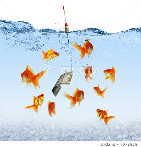 Swimming gold fish and money symbols Swimming gold fish and money symbols 7073858