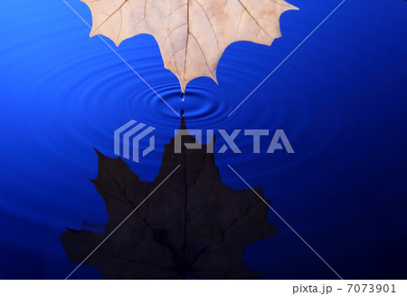 Drop of water falling into the water 7073901