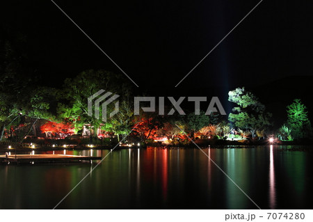 大覚寺 紅葉ライトアップ 7074280