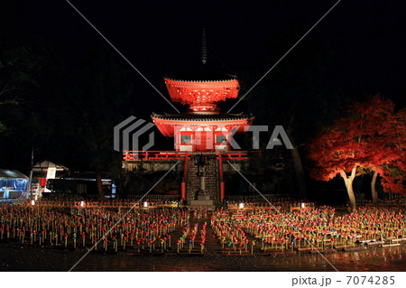 大覚寺 心経宝塔 紅葉ライトアップ 7074285