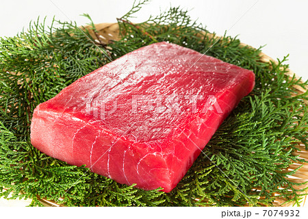 本マグロの中トロ(白バック) 本マグロの中トロ(白バック) 7074932
