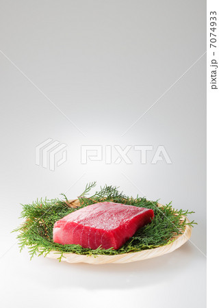 本マグロの中トロ（白バック） 7074933