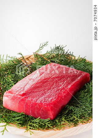 本マグロの中トロ（白バック） 7074934