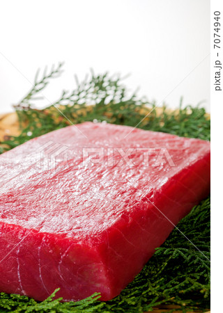 本マグロの中トロ（白バック） 7074940