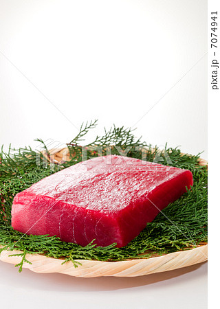 本マグロの中トロ（白バック） 7074941