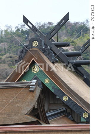 出雲大社 本殿 出雲大社 本殿 7075813