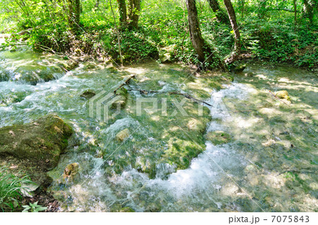 クロアチア　世界自然遺産　プリトヴィツェ湖群国立公園 7075843