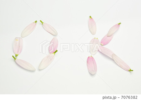 花びら 花びら 7076382