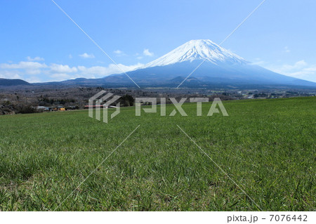 牧草地から富士山 7076442