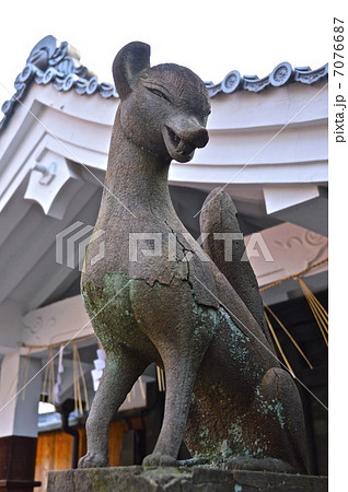 満足稲荷神社のキツネの像（京都市左京区東大路仁王門下ル東門前町） 7076687