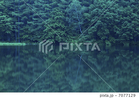 森と湖 7077129