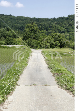 田沢中の棚田 7077133