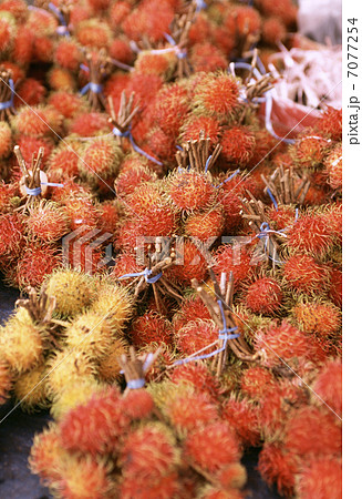 ランブータン 7077254