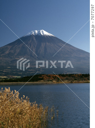 富士山 富士山 7077297