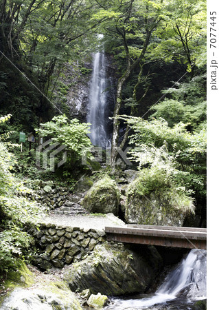 払沢の滝 7077445