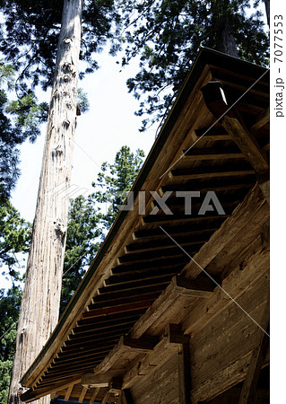 神社の屋根 7077553