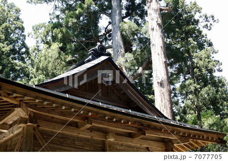 神社の屋根 神社の屋根 7077705