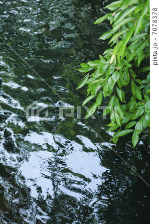 流水 流水 7078378