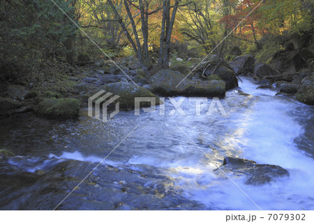 紅葉と渓流 紅葉と渓流 7079302