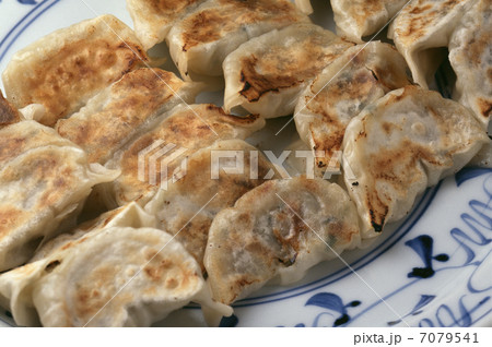 博多名物一口焼き餃子 博多名物一口焼き餃子 7079541
