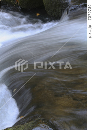 渓流 7079780