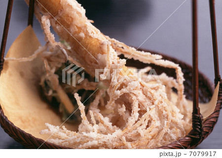 高麗人参の天ぷら 高麗人参の天ぷら 7079917