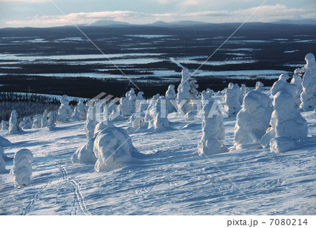 樹氷 7080214