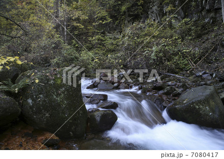 秋の渓流 7080417