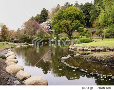 水戸偕楽園桜咲く頃　 7080486