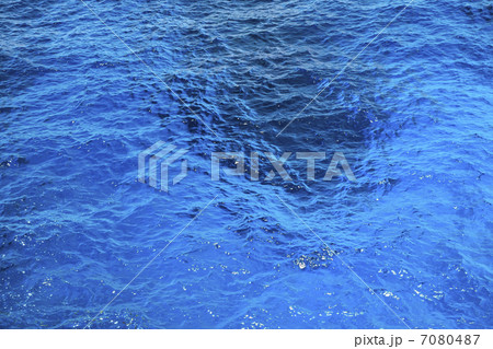 コーラルビーチ 7080487