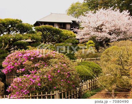 水戸偕楽園桜咲く頃 7080490