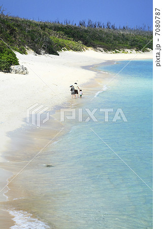 コーラルビーチ 7080787