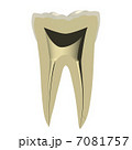 歯の切断面 7081757