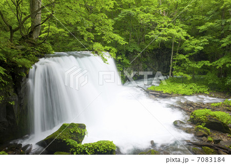 奥入瀬渓流 銚子大滝 奥入瀬渓流 銚子大滝 7083184
