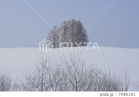 樹氷 樹氷 7086181