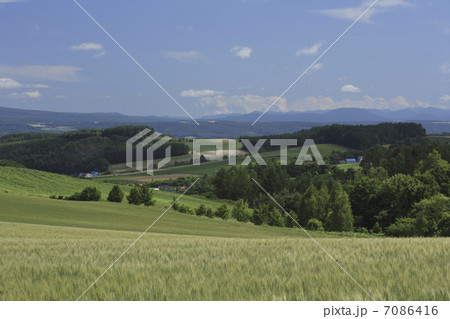 田園風景 7086416