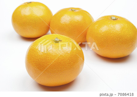 みかん 7086418