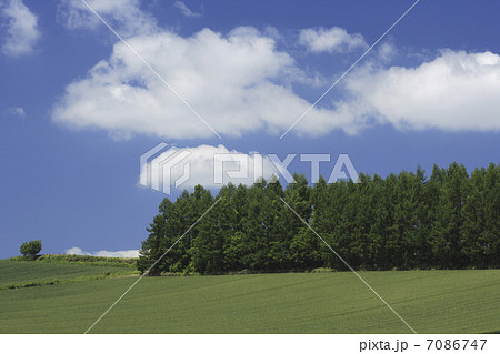 田園風景 7086747