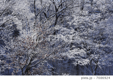 樹氷 樹氷 7086924