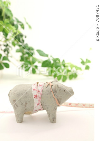 ダイエットイメージ　サイズをはかる 7087451