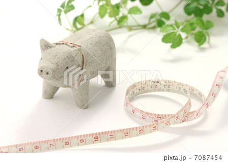 ダイエットイメージ　健康管理イメージ 7087454