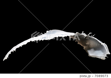 milk splash 7089073