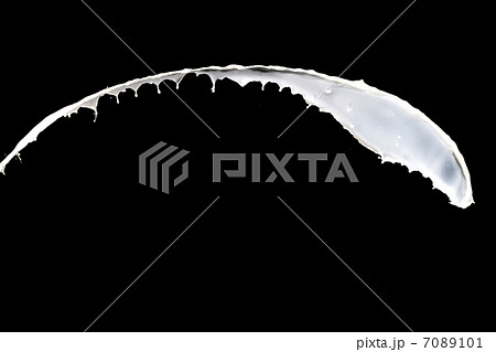 milk splash milk splash 7089101