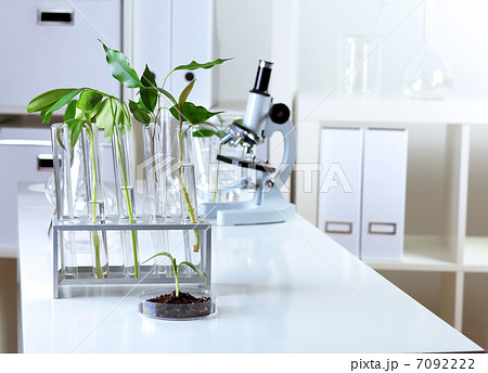 Green plants in biology laborotary 7092222