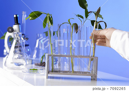Green plants in biology laborotary 7092265