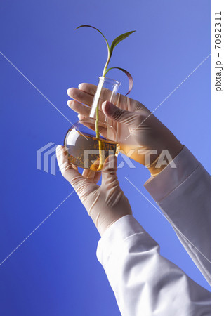 Green plants in biology laborotary Green plants in biology laborotary 7092311